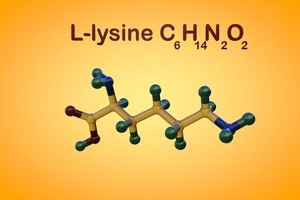 L-lysine có tác động tích cực lên hệ thống miễn dịch, phòng ngừa tay chân miệng